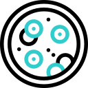 célula 