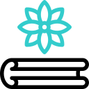 Star anise cinnamon 