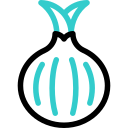 cebolla icon