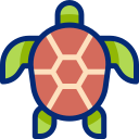 schildkröte 