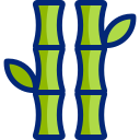 Bamboo 
