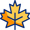 feuille d'érable 