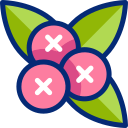 Berries 