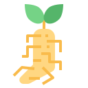 Ginseng icon