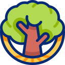 arbre de vie icon