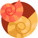 Nautilo icon