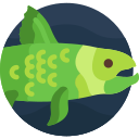 Dinichthys icon