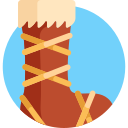 Bota icon