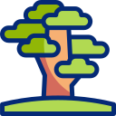 Baobab icon