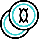 Coins icon