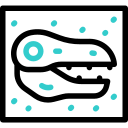 공룡 화석 animated icon