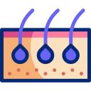 머리카락 icon