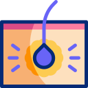 피부 icon