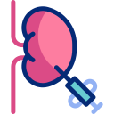 Kidney biopsy icon