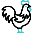 coq icon