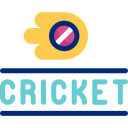 Cricket 