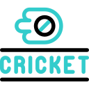 Cricket 