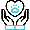 Любовь к домашним животным 