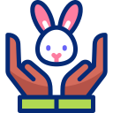 Уход за кроликами 