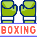 Boxing 