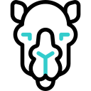 Верблюд icon