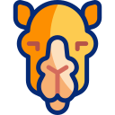 Camel icon
