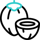 coco icon