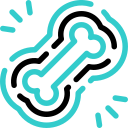 Bone icon