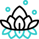 fleur de lotus animated icon