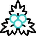 겨우살이 animated icon