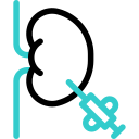 biopsia de riñón animated icon