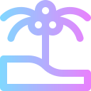 Palm tree