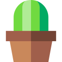 Cactus icon