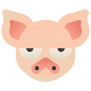 Cerdo icon