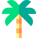 Palmera