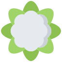 Coliflor icon