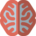 cerebro icon