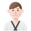 Taekwondo icon