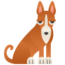 Basenji 