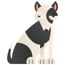 Bull terrier