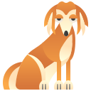 Saluki 