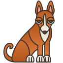 Basenji 