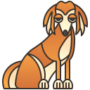 Saluki