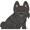 Schipperke