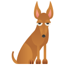 Podenco faraónico