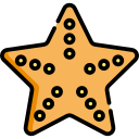 Estrella de mar icon