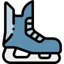 Hóquei icon