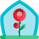 Rosa icon