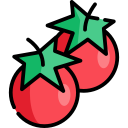 Tomate icon