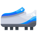 Zapato icon